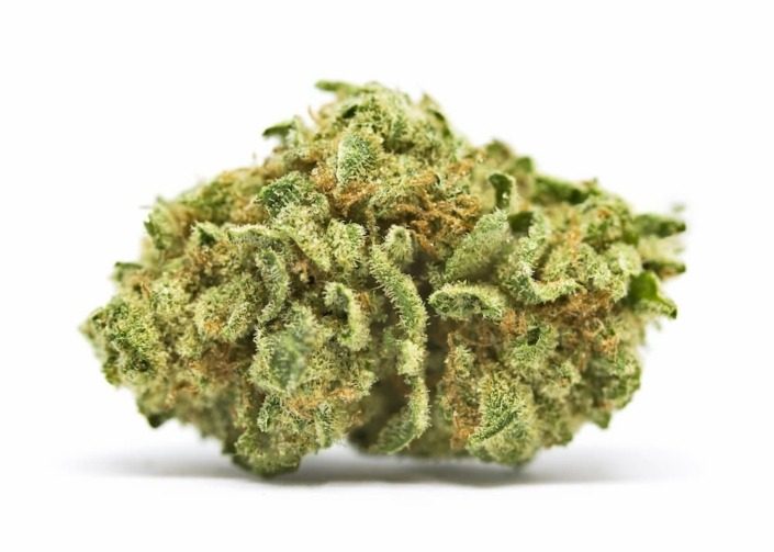 Golden Lemon